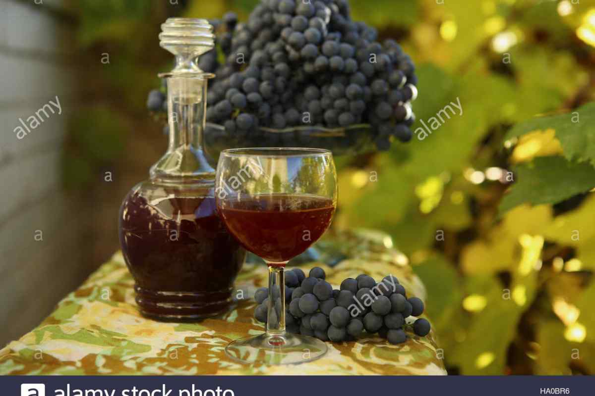 Як приготувати червоне виноградне вино в домашніх умовах