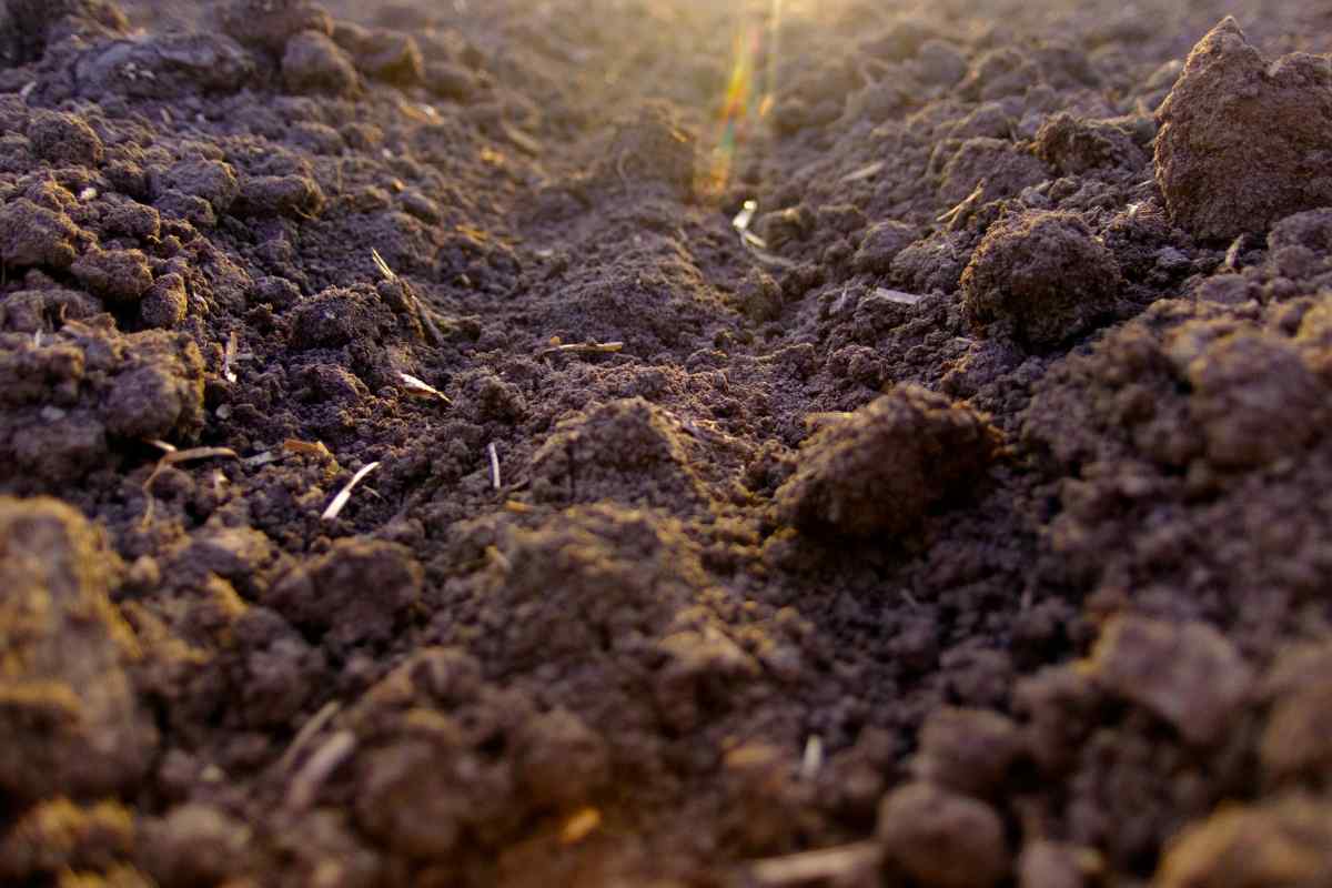 Як визначити тип ґрунту