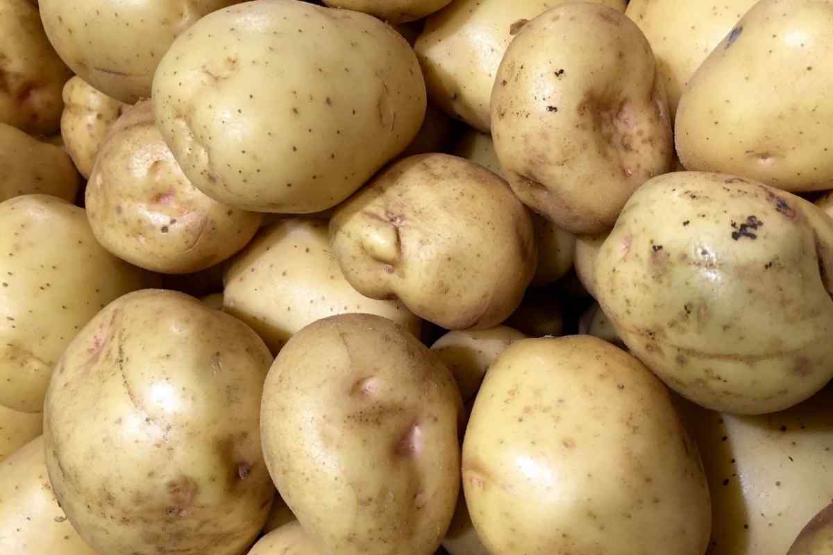 Чим корисна сира картопля