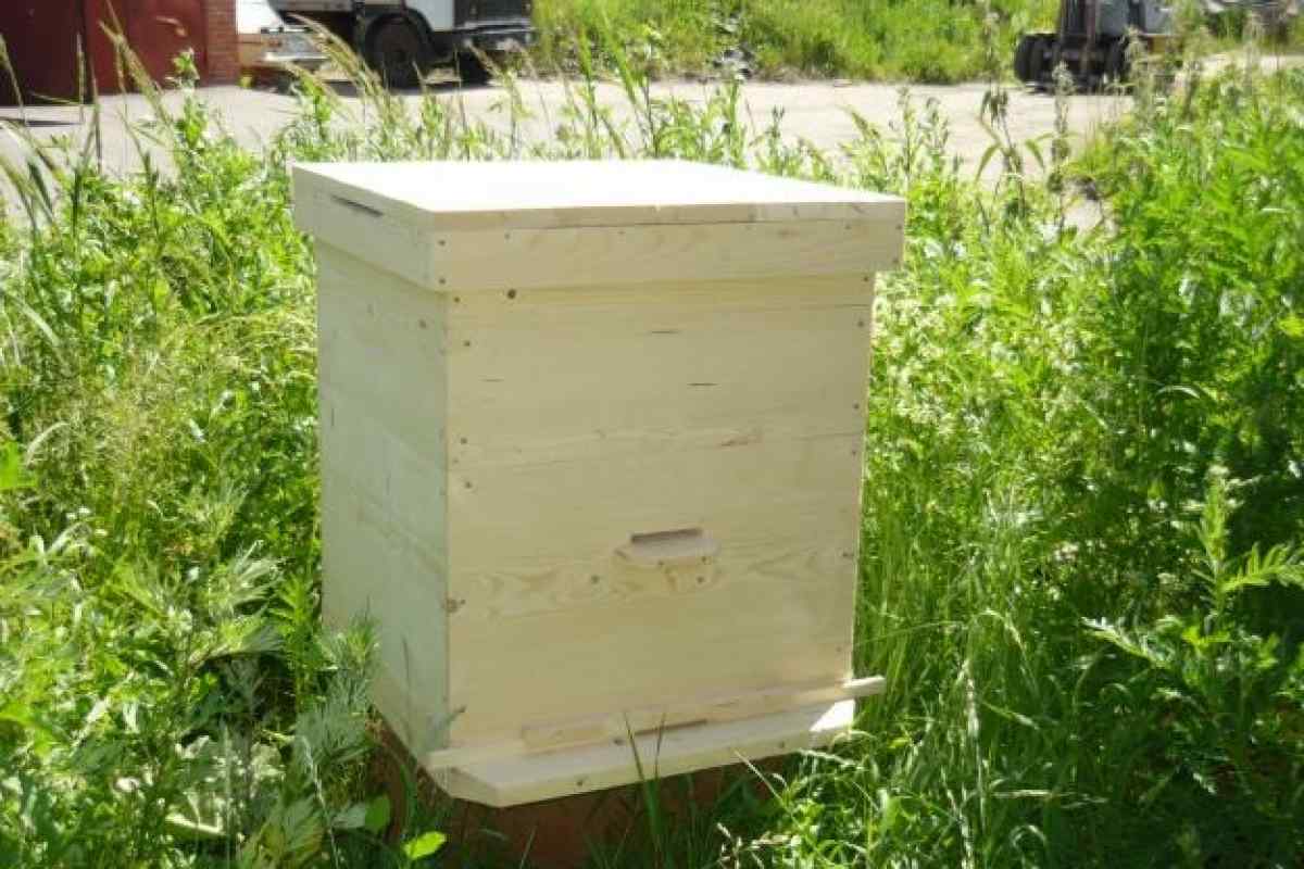Як побудувати вулик для бджіл