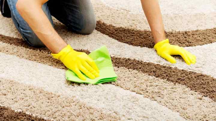 Як почистити в домашніх умовах килим