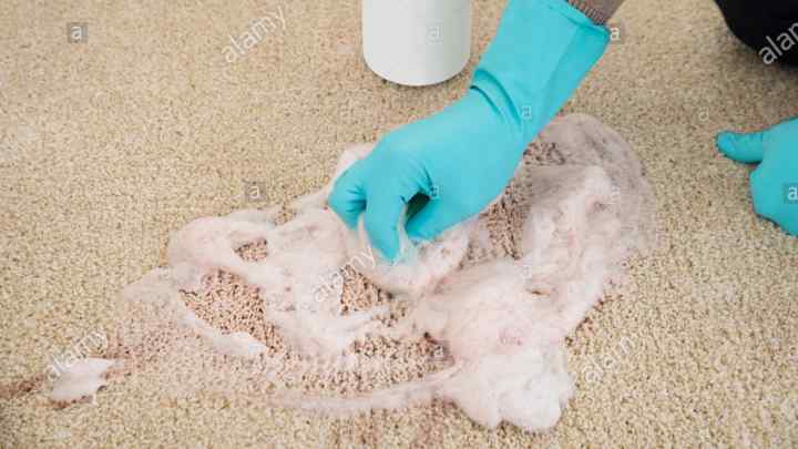 Як очистити ковролін від забруднень