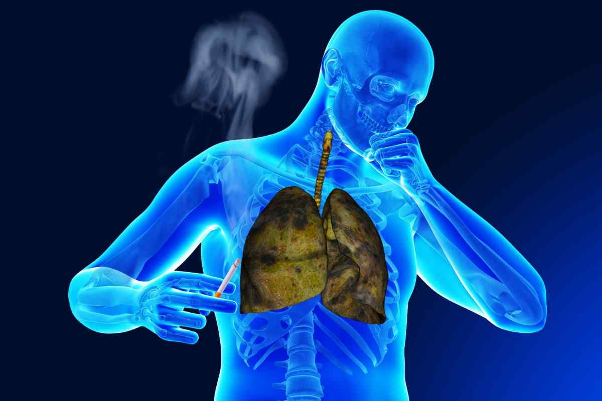Які процеси відбуваються в організмі при диханні
