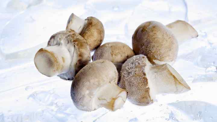 Що приготувати з білих заморожених грибів