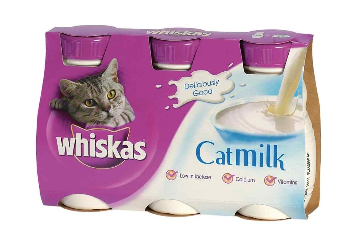 Чим можна замінити котяче молоко