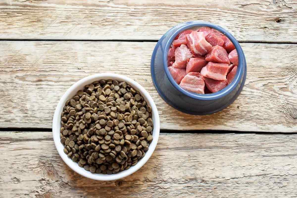 Сухий корм для собак: шкода або користь