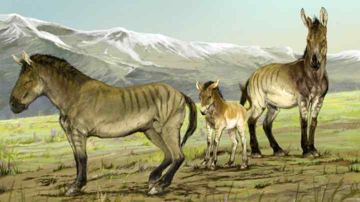 Які тварини були предками сучасного коня