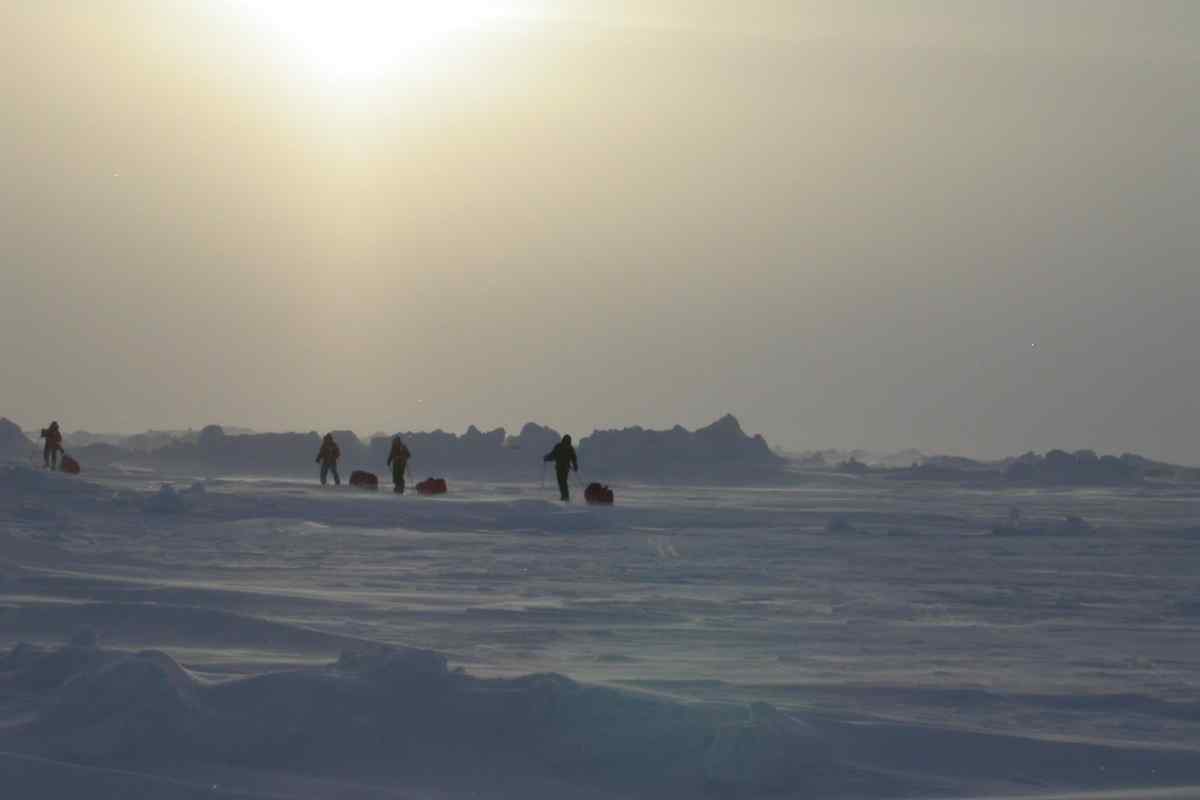 Хто першим досяг Північного полюса
