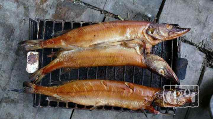 Як приготувати рибу холодного копчення