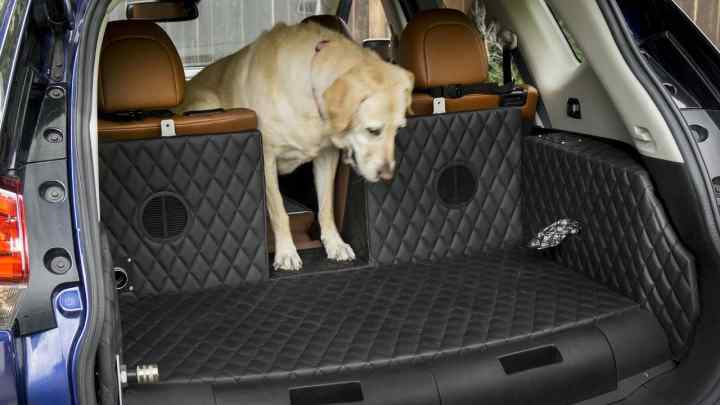 Компанія Nissan створює перший у світі багажник для собак