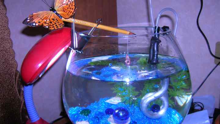 Як зробити акваріум самому