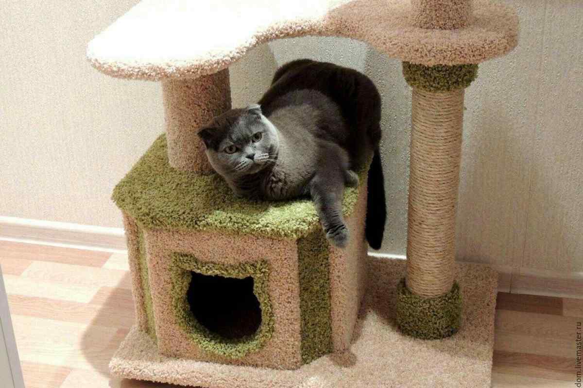 Як зробити місце для кішки