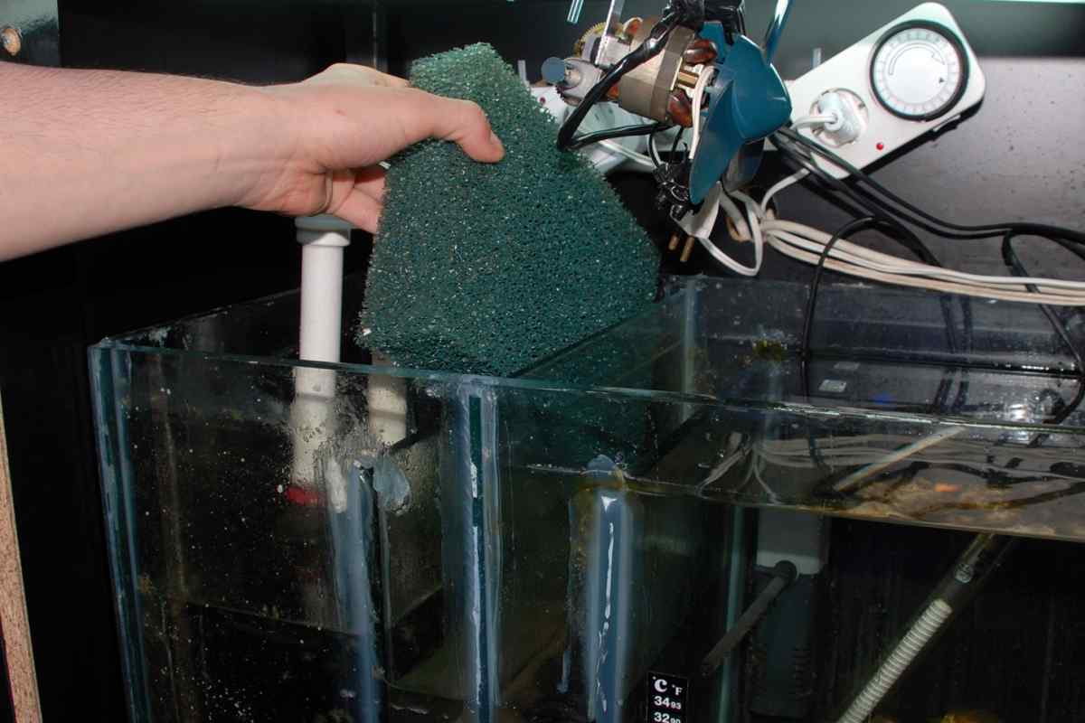 Як чистити скло акваріума