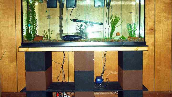 Як зробити саморобний акваріум
