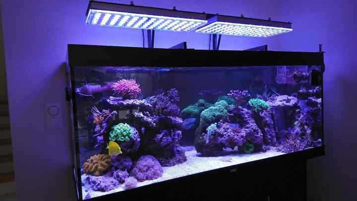 Як зробити освітлення для акваріума