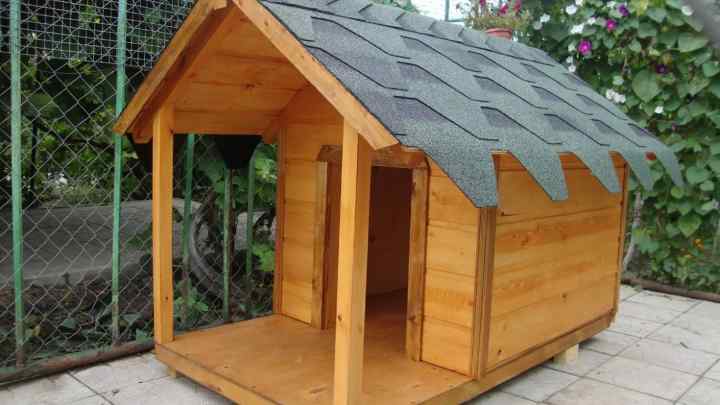 Як побудувати будиночок для собаки