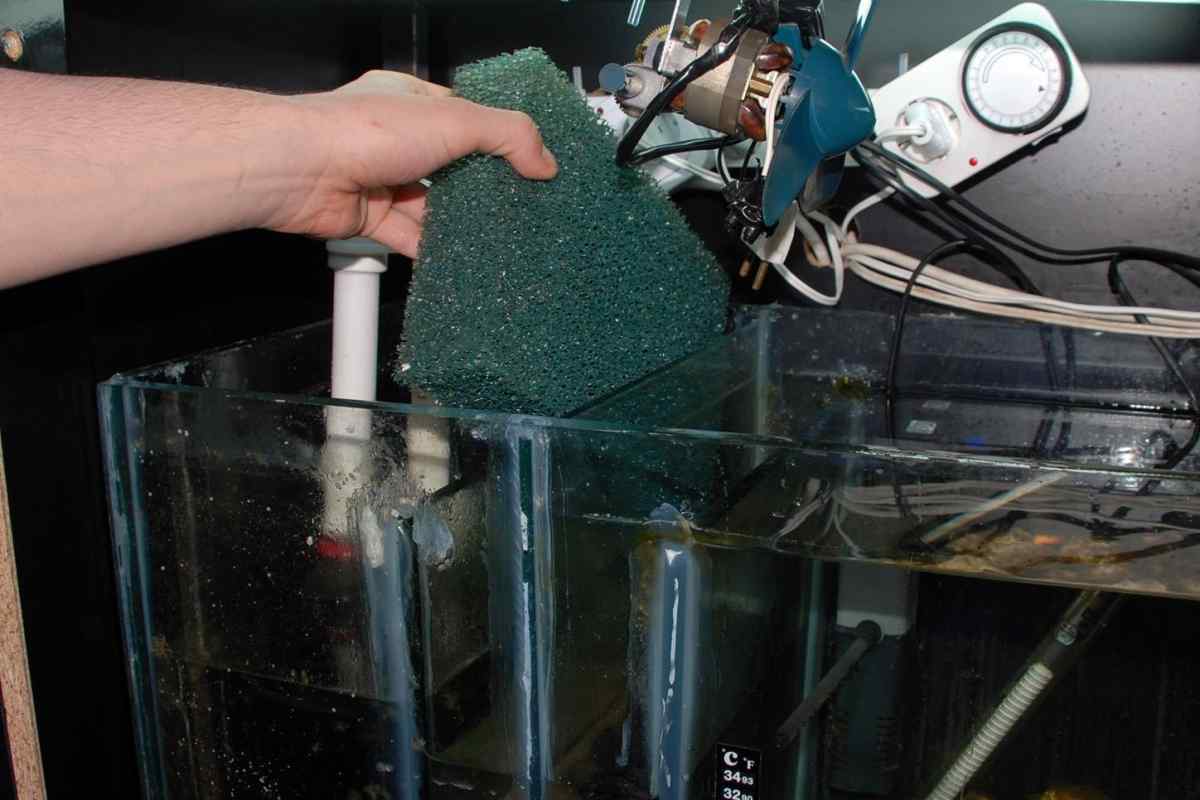 Як чистити акваріумні фільтри