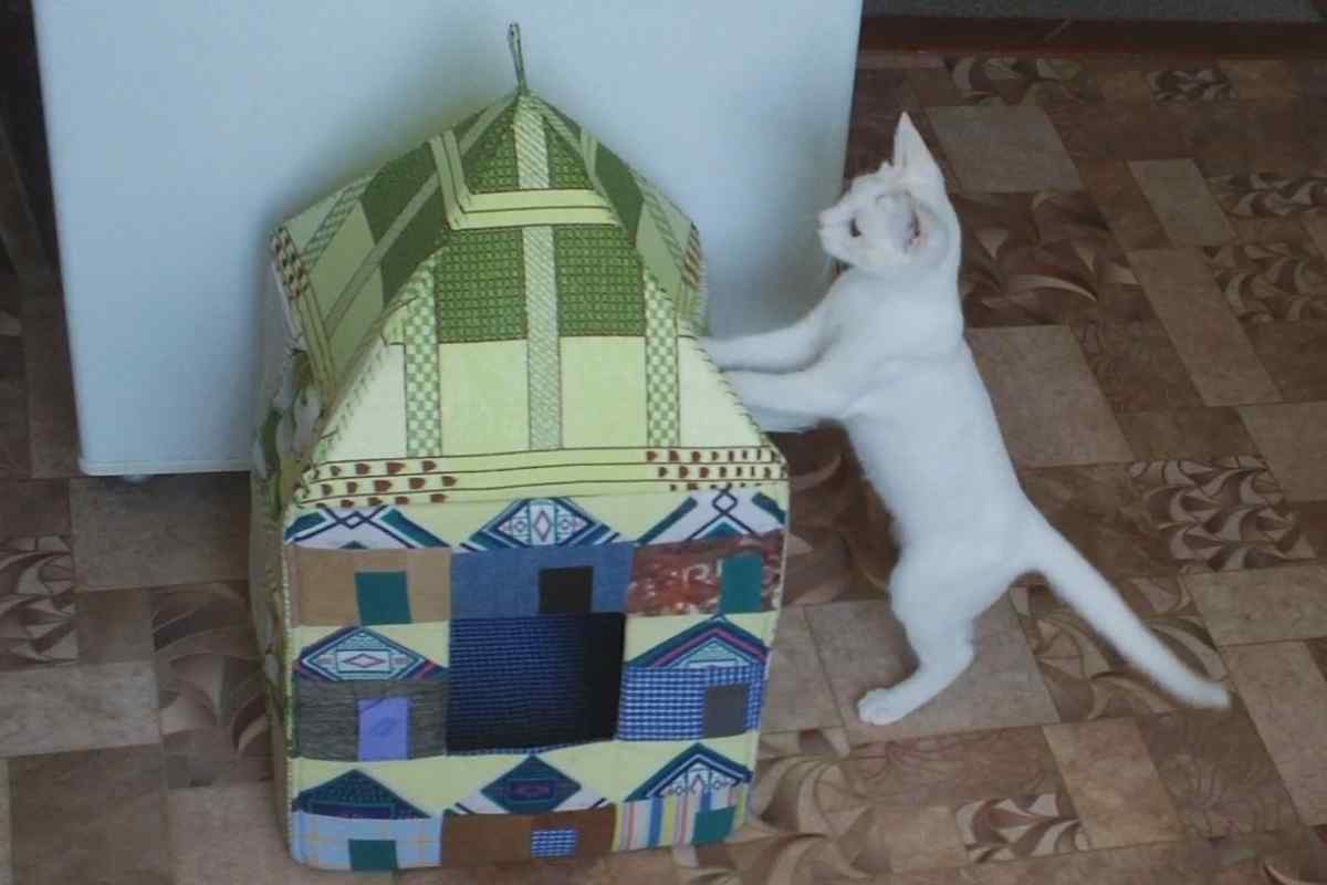 Як просто зробити будинок для кішки