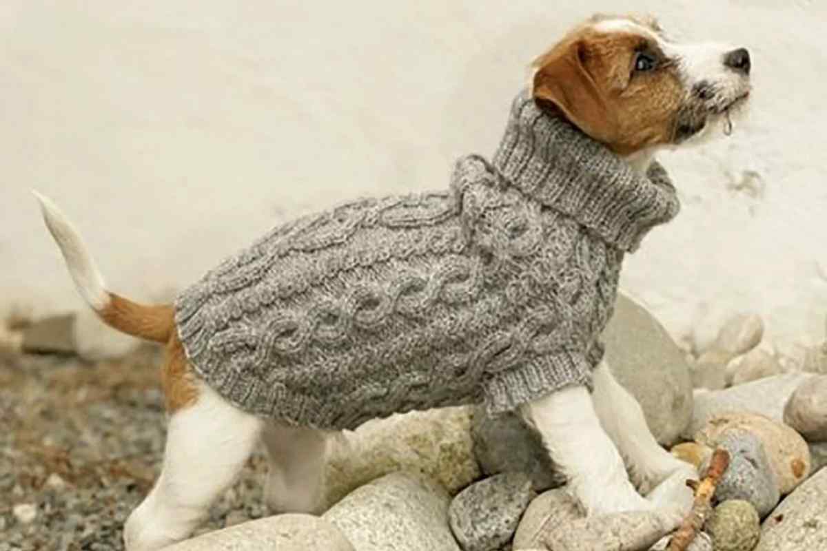 Як швидко зв 'язати светр для собаки