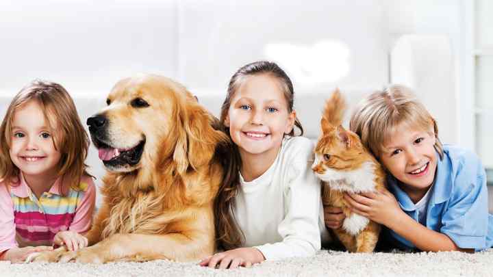 Які домашні тварини найкраще впливають на дітей