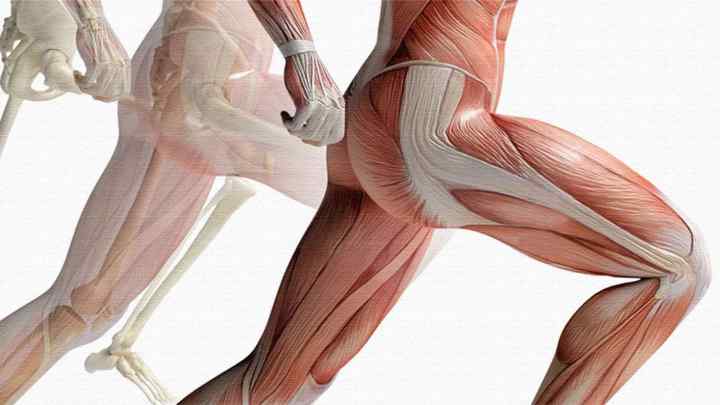 Як підтягнути м 'язи ніг