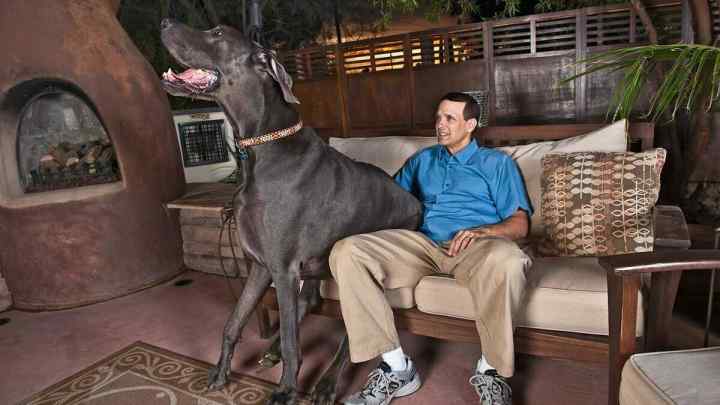 ТОП-10 найбільших собак у світі