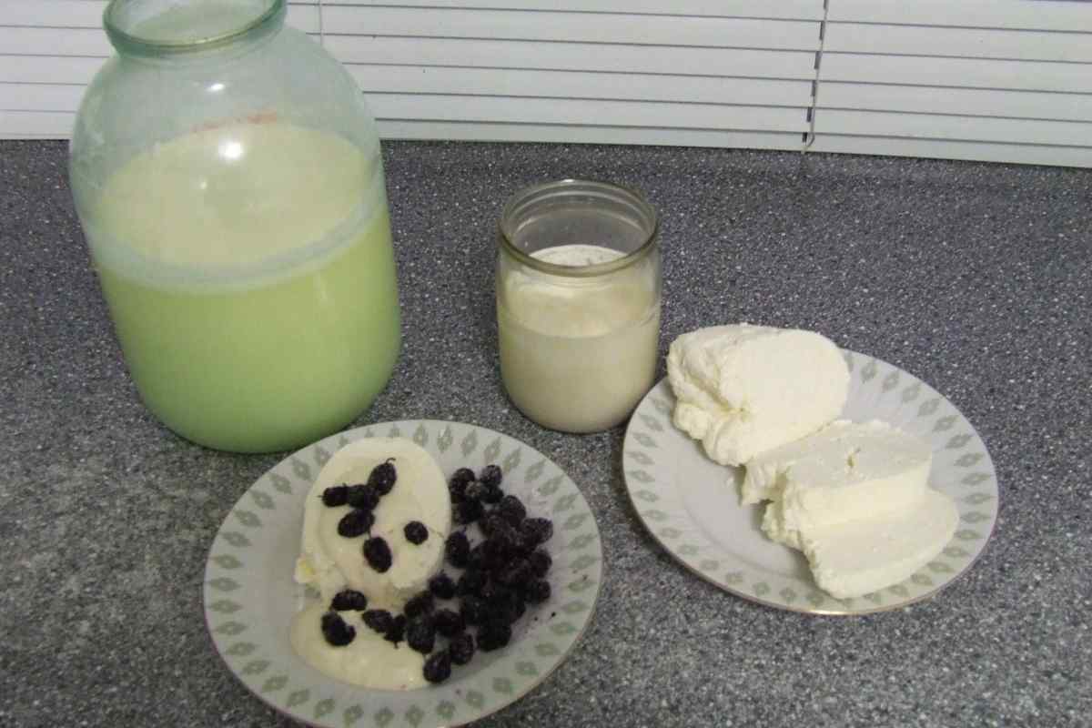 Як приготувати домашній сир з сільського молока