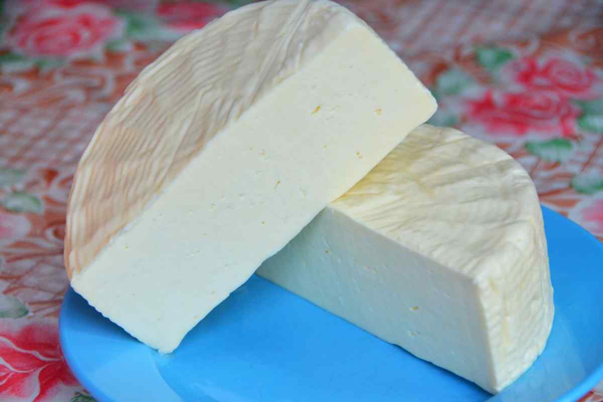 Як робити сир у домашніх умовах