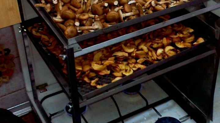 Як зробити сушарку для грибів