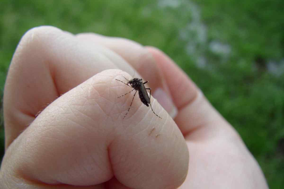 Як захистити малюка від укусів комах