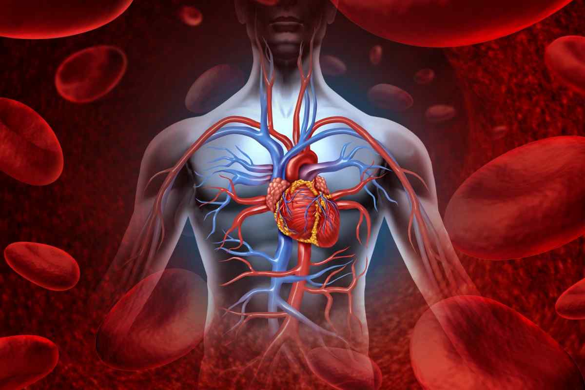 Серцево-судинна дистонія: симптоми і лікування