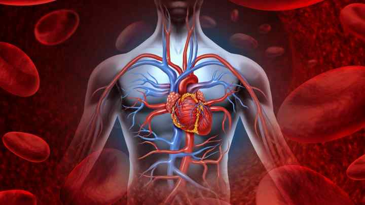 Серцево-судинна дистонія: симптоми і лікування