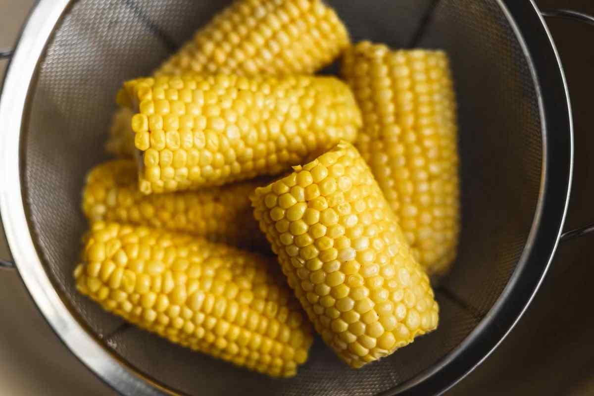 Як варити кукурудзу в початках. Правильна технологія приготування