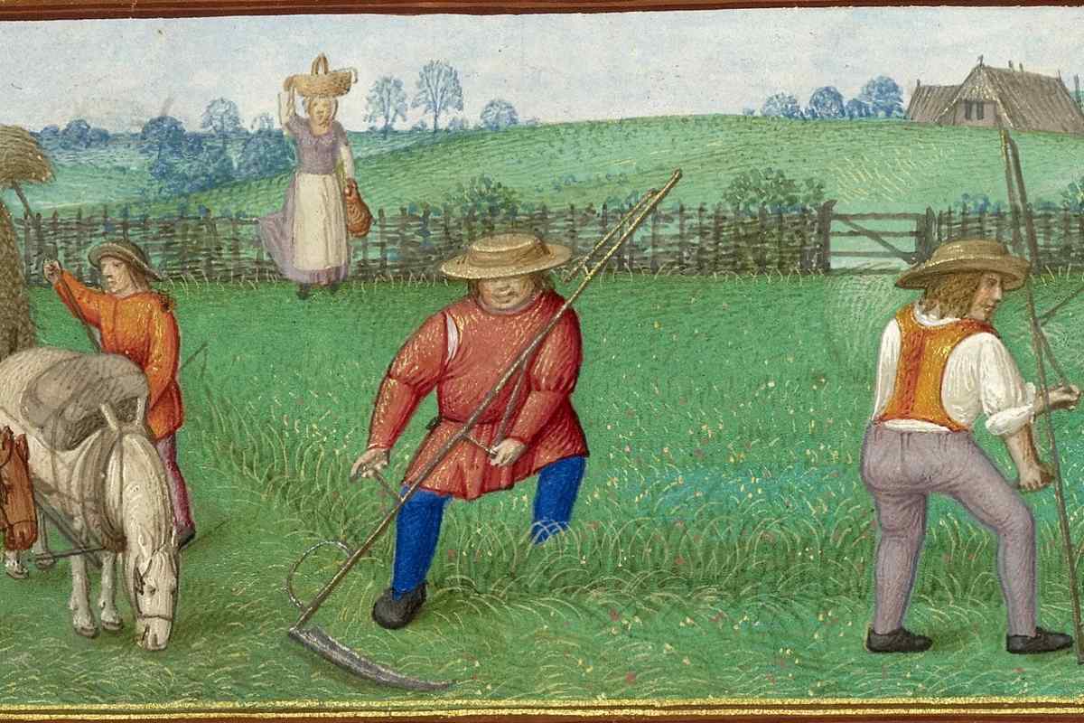 Як жили селяни в Середні століття? Знаряддя праці та побут середньовічних селян