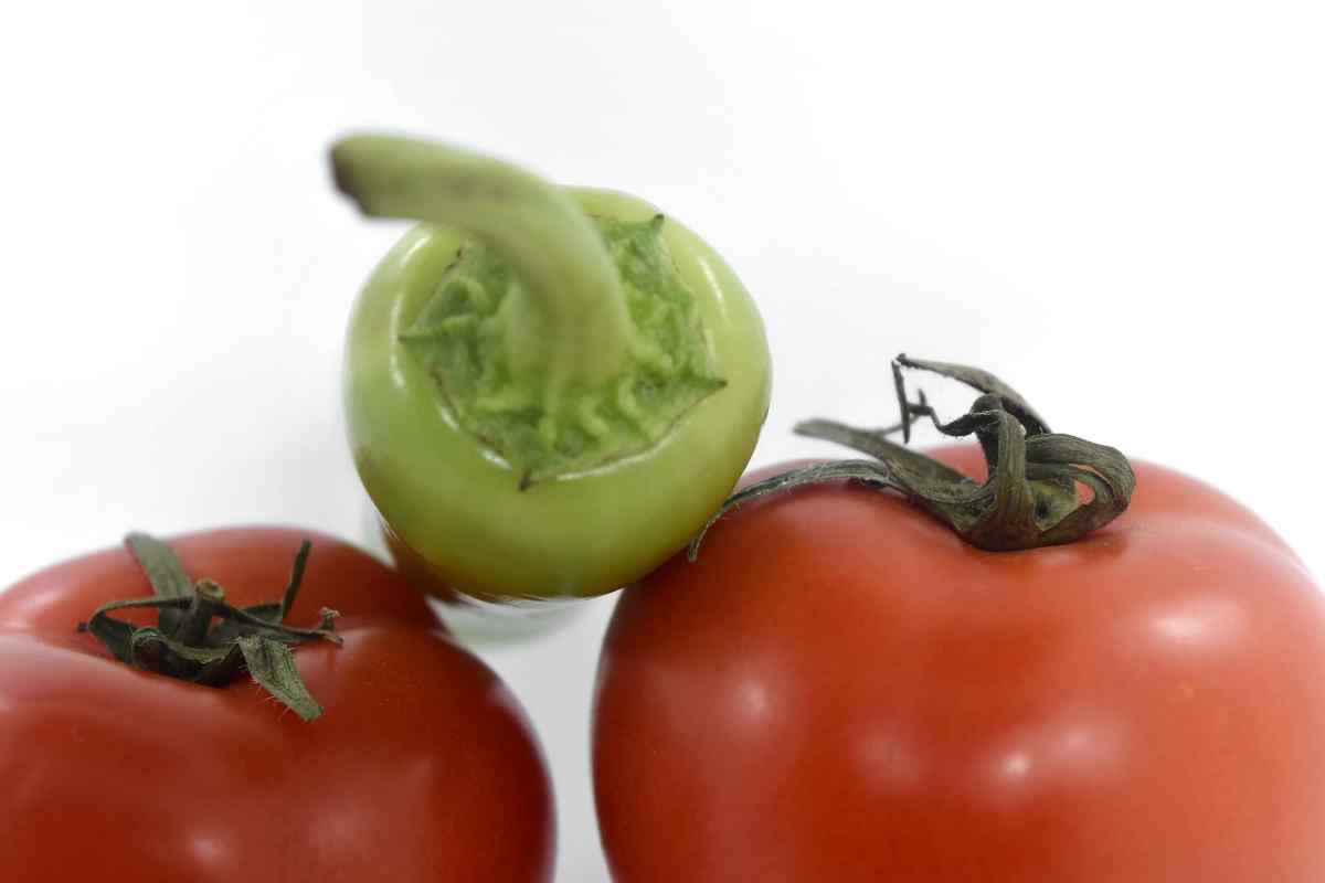 При якому захворюванні не можна їсти помідори: сувора заборона лікарів
