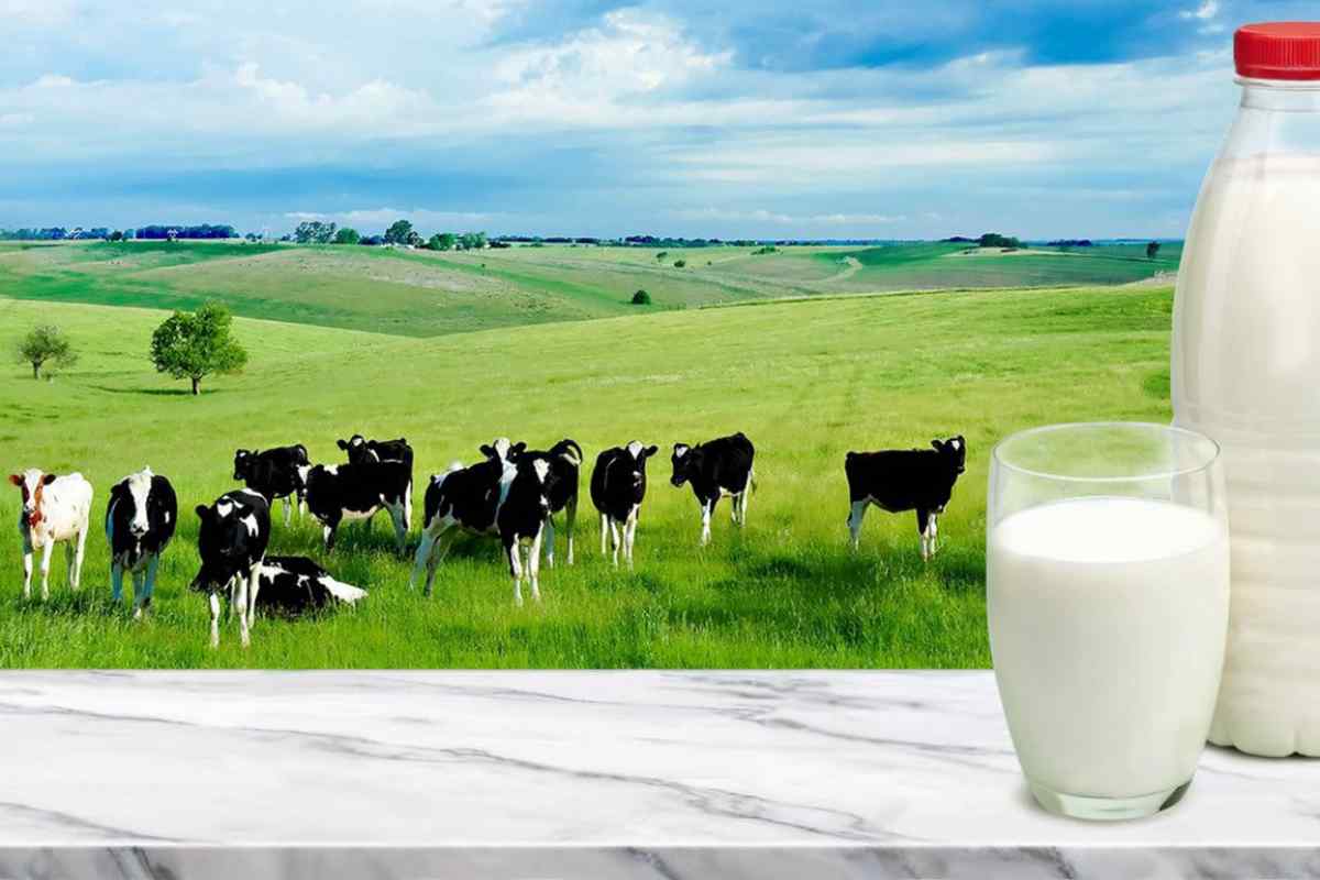 Коров 'яче молоко: склад натурального продукту