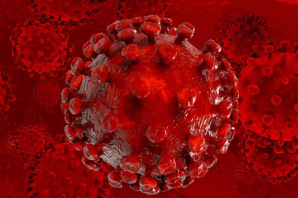 Скільки живе вірус ВІЛ у зовнішньому середовищі? За якої температури гине ВІЛ? Все про ВІЛ