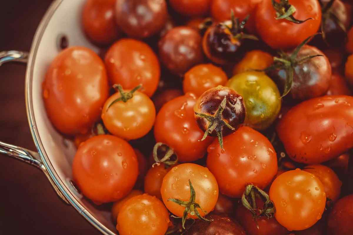 Чи помідори корисні для схуднення?