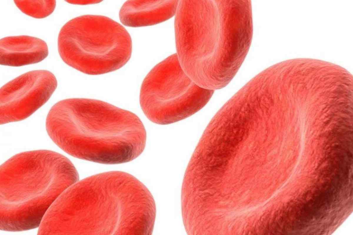 Норма рівня гемоглобіну в крові у жінок: таблиця, порушення та особливості