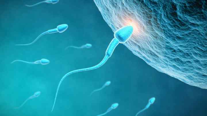 Фрагментація ДНК сперматозоїдів