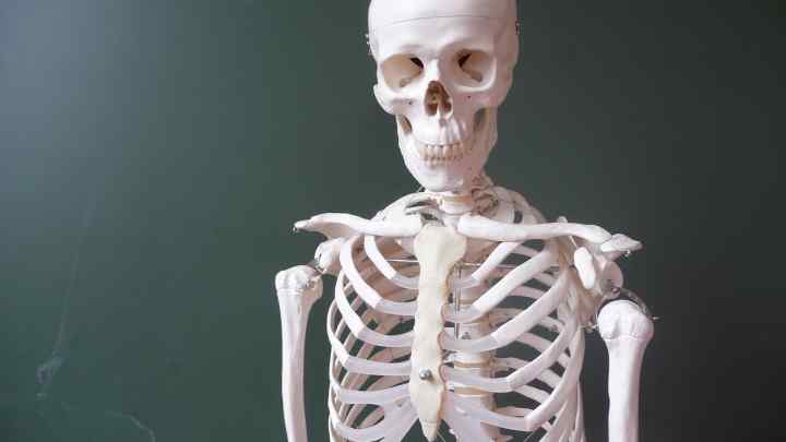 Яка кістка в тілі людини найміцніша?