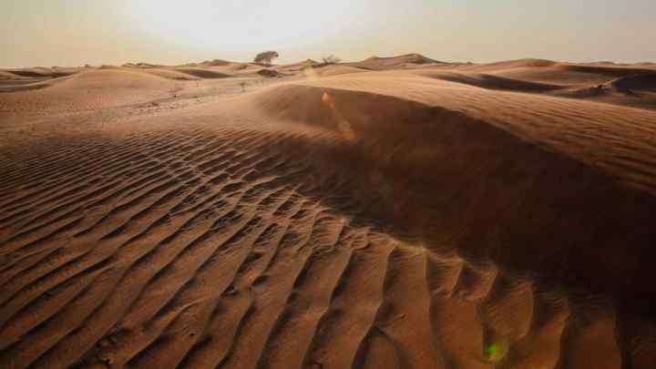 Найбільші пустелі світу. Різновиди пустель