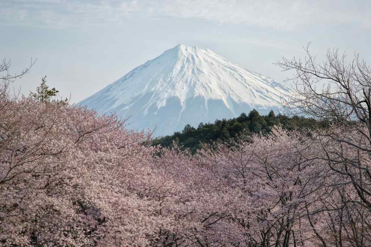 Японія, природа Японії: особливості