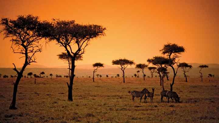 Клімат Африки і його особливості
