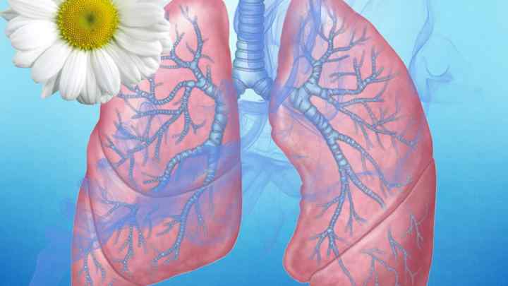 Режими хіміотерапії при туберкульозі легенів: опис, особливості та рекомендації