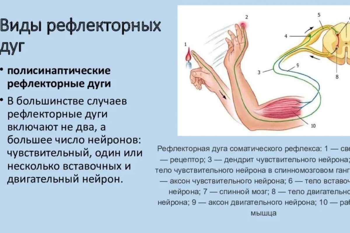 Як придушувати блювотний рефлекс: причини появи, швидкі та прості методи придушення, фізіологія людини, будова горла, горлянки та стравоходу