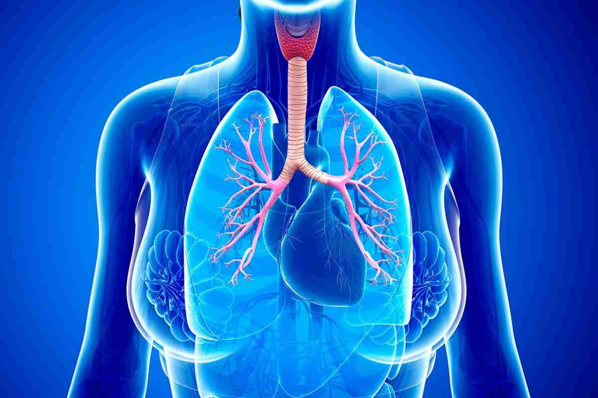 Бронхіальної астми патогенез і етіологія