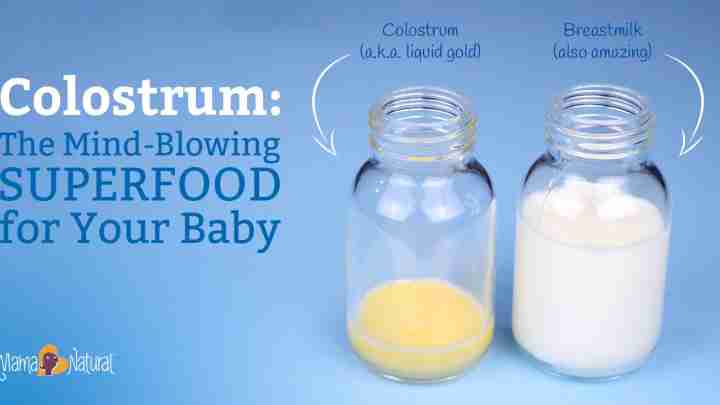 Як відрізнити молоко від молозива: ознаки, склад та основні відмінності