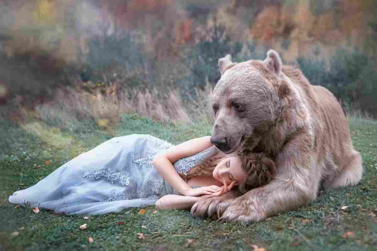 Тікати від ведмедів уві сні що означає? Тлумачення снів