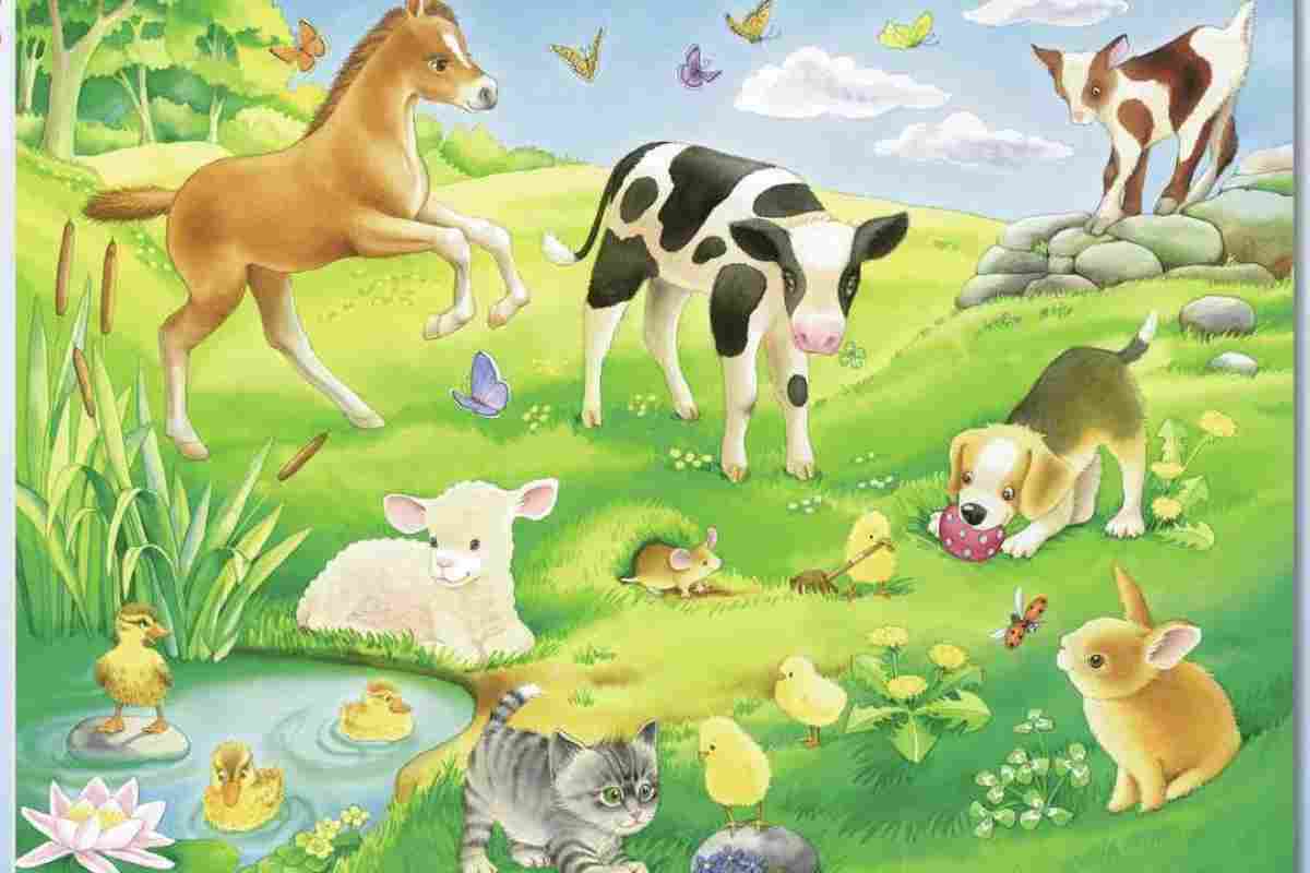 Домашні тварини: список різних видів вихованців